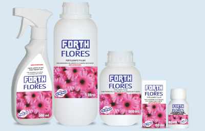 FORTH Flores